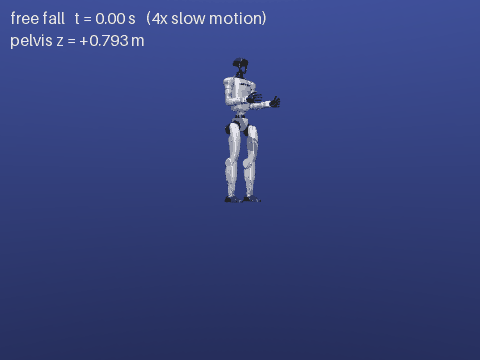 G1 in free fall