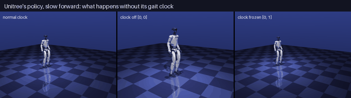Walking slowly with the gait clock normal, off and frozen