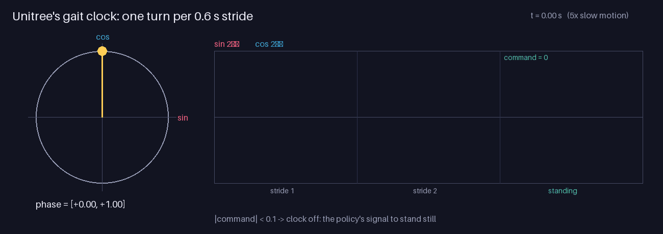 The gait clock: one turn per step cycle, off when standing
