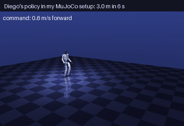 Diego's policy walking in my MuJoCo setup